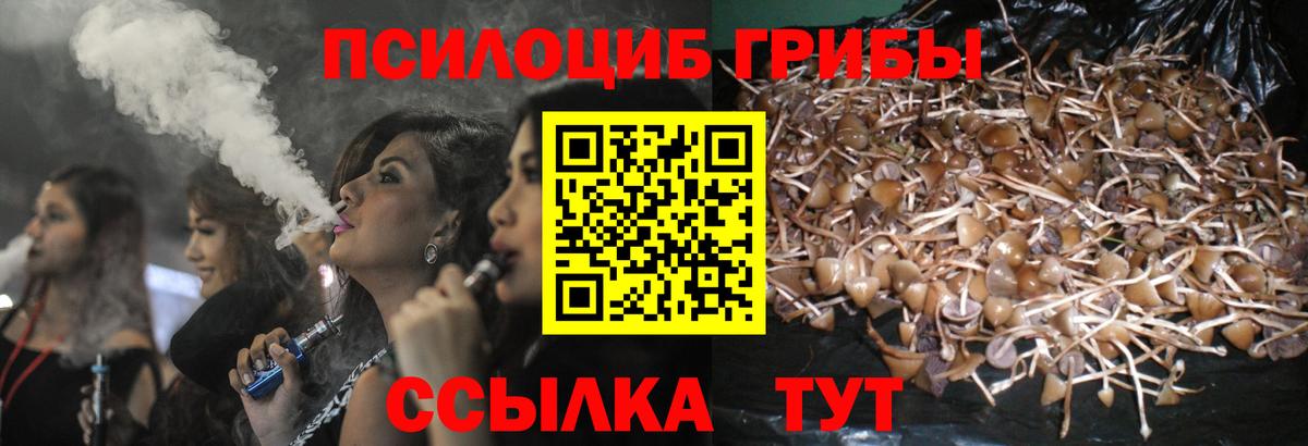 Псилоцибиновые грибы Magic Shrooms Рубцовск